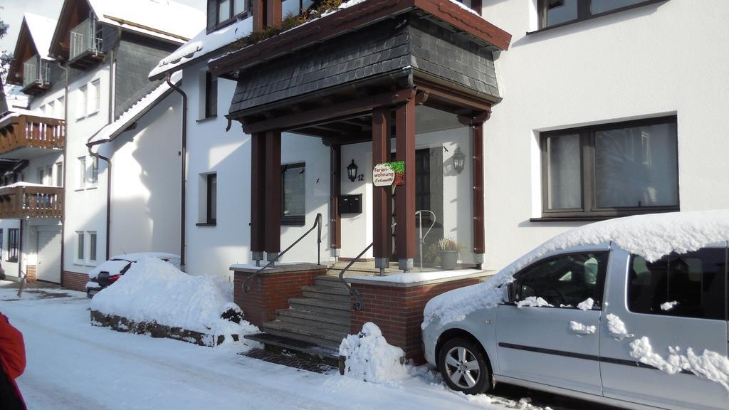Ferienwohnung Ortsmitte-Willingen Willingen  Exterior foto